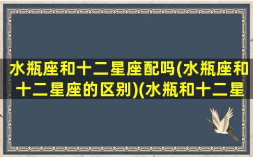 水瓶座和十二星座配吗(水瓶座和十二星座的区别)(水瓶和十二星座配对)