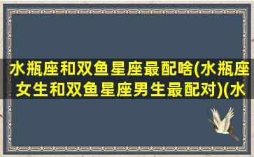 水瓶座和双鱼星座最配啥(水瓶座女生和双鱼星座男生最配对)(水瓶座和双鱼配对指数)