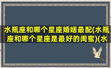 水瓶座和哪个星座婚姻最配(水瓶座和哪个星座是最好的闺蜜)(水瓶座和什么星座婚姻最配)