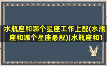 水瓶座和哪个星座工作上配(水瓶座和哪个星座最配)(水瓶座和12星座的工作搭档)