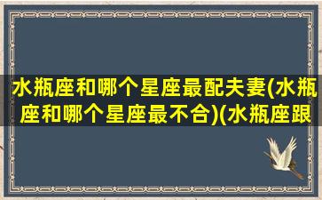 水瓶座和哪个星座最配夫妻(水瓶座和哪个星座最不合)(水瓶座跟什么星座最配做夫妻)