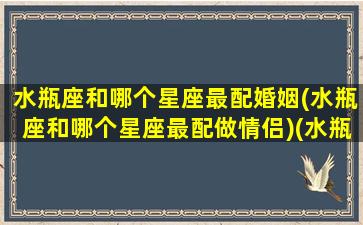 水瓶座和哪个星座最配婚姻(水瓶座和哪个星座最配做情侣)(水瓶座跟哪个星座最配情侣)