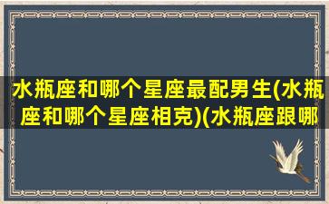 水瓶座和哪个星座最配男生(水瓶座和哪个星座相克)(水瓶座跟哪个星座比较合适)