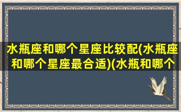 水瓶座和哪个星座比较配(水瓶座和哪个星座最合适)(水瓶和哪个星座更配)