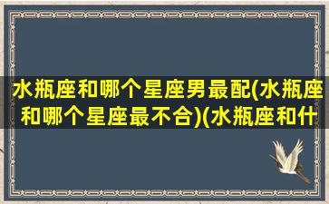 水瓶座和哪个星座男最配(水瓶座和哪个星座最不合)(水瓶座和什么星座的男生最配结婚)