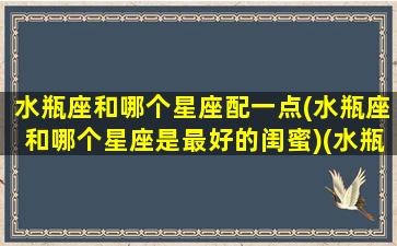 水瓶座和哪个星座配一点(水瓶座和哪个星座是最好的闺蜜)(水瓶座和哪个星座更搭配)