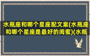 水瓶座和哪个星座配文案(水瓶座和哪个星座是最好的闺蜜)(水瓶座和哪一个星座是最好的闺蜜)