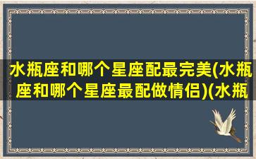 水瓶座和哪个星座配最完美(水瓶座和哪个星座最配做情侣)(水瓶座和哪个星座配对最好)