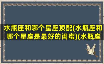 水瓶座和哪个星座顶配(水瓶座和哪个星座是最好的闺蜜)(水瓶座跟哪个星座是最好的闺蜜)