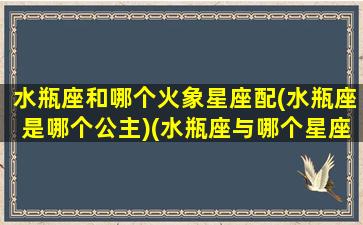 水瓶座和哪个火象星座配(水瓶座是哪个公主)(水瓶座与哪个星座配对)