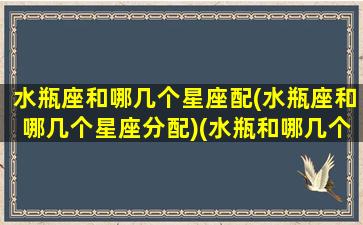 水瓶座和哪几个星座配(水瓶座和哪几个星座分配)(水瓶和哪几个星座最配对)