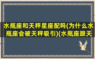 水瓶座和天秤星座配吗(为什么水瓶座会被天秤吸引)(水瓶座跟天秤配不配)