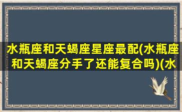 水瓶座和天蝎座星座最配(水瓶座和天蝎座分手了还能复合吗)(水瓶和天蝎座合不合)