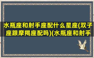 水瓶座和射手座配什么星座(双子座跟摩羯座配吗)(水瓶座和射手座在一起合适吗)