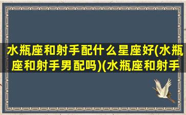 水瓶座和射手配什么星座好(水瓶座和射手男配吗)(水瓶座和射手座般不般配)