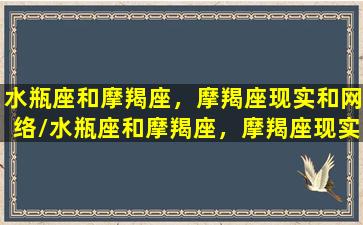 水瓶座和摩羯座，摩羯座现实和网络/水瓶座和摩羯座，摩羯座现实和网络-我的网站