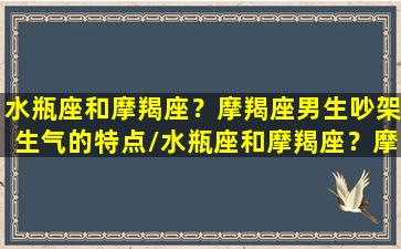 水瓶座和摩羯座？摩羯座男生吵架生气的特点/水瓶座和摩羯座？摩羯座男生吵架生气的特点-我的网站