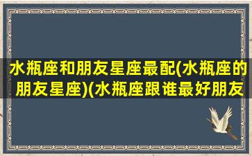 水瓶座和朋友星座最配(水瓶座的朋友星座)(水瓶座跟谁最好朋友)