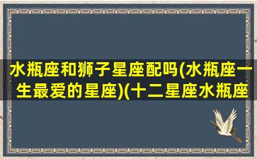 水瓶座和狮子星座配吗(水瓶座一生最爱的星座)(十二星座水瓶座和狮子座相配吗)