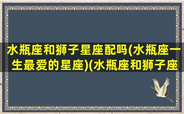 水瓶座和狮子星座配吗(水瓶座一生最爱的星座)(水瓶座和狮子座的匹配程度)