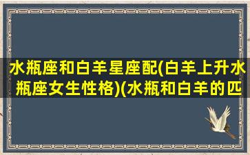 水瓶座和白羊星座配(白羊上升水瓶座女生性格)(水瓶和白羊的匹配程度)