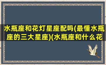 水瓶座和花灯星座配吗(最懂水瓶座的三大星座)(水瓶座和什么花最配)
