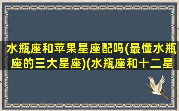 水瓶座和苹果星座配吗(最懂水瓶座的三大星座)(水瓶座和十二星座配对)