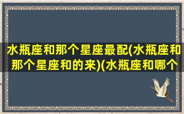 水瓶座和那个星座最配(水瓶座和那个星座和的来)(水瓶座和哪个星座更配一点)