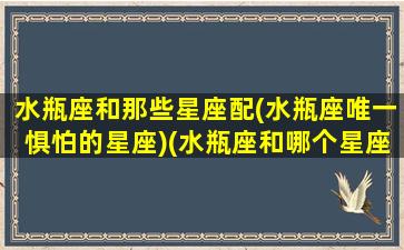 水瓶座和那些星座配(水瓶座唯一惧怕的星座)(水瓶座和哪个星座最配在一起)