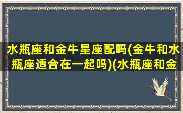 水瓶座和金牛星座配吗(金牛和水瓶座适合在一起吗)(水瓶座和金牛座的匹配程度)