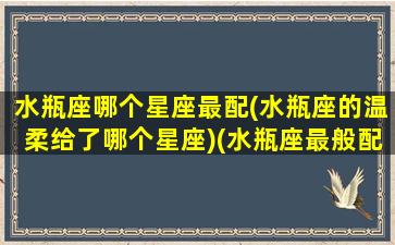 水瓶座哪个星座最配(水瓶座的温柔给了哪个星座)(水瓶座最般配的星座)