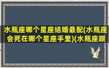 水瓶座哪个星座结婚最配(水瓶座会死在哪个星座手里)(水瓶座跟哪个星座结婚)