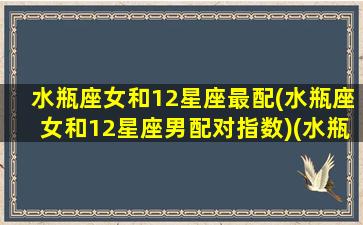 水瓶座女和12星座最配(水瓶座女和12星座男配对指数)(水瓶座女和谁最配对)