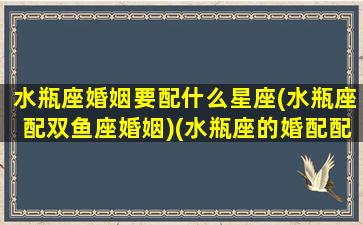 水瓶座婚姻要配什么星座(水瓶座配双鱼座婚姻)(水瓶座的婚配配什么星座比较好)