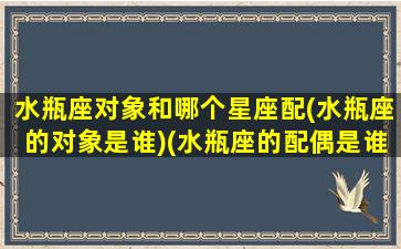水瓶座对象和哪个星座配(水瓶座的对象是谁)(水瓶座的配偶是谁)