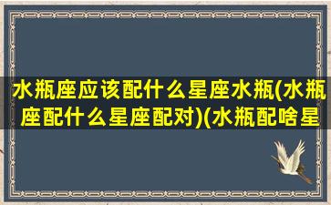 水瓶座应该配什么星座水瓶(水瓶座配什么星座配对)(水瓶配啥星座)