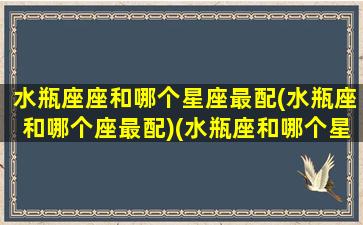 水瓶座座和哪个星座最配(水瓶座和哪个座最配)(水瓶座和哪个星座的人最配)