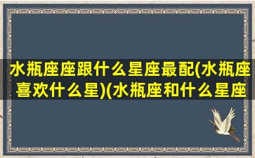 水瓶座座跟什么星座最配(水瓶座喜欢什么星)(水瓶座和什么星座最搭配最合适)