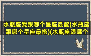 水瓶座我跟哪个星座最配(水瓶座跟哪个星座最搭)(水瓶座跟哪个星座配对)