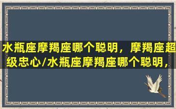 水瓶座摩羯座哪个聪明，摩羯座超级忠心/水瓶座摩羯座哪个聪明，摩羯座超级忠心-我的网站