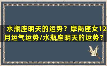 水瓶座明天的运势？摩羯座女12月运气运势/水瓶座明天的运势？摩羯座女12月运气运势-我的网站