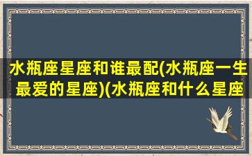 水瓶座星座和谁最配(水瓶座一生最爱的星座)(水瓶座和什么星座最配排行榜)
