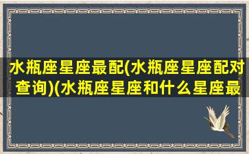 水瓶座星座最配(水瓶座星座配对查询)(水瓶座星座和什么星座最配)