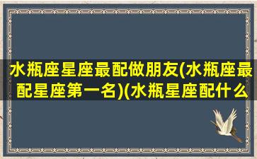 水瓶座星座最配做朋友(水瓶座最配星座第一名)(水瓶星座配什么星座)