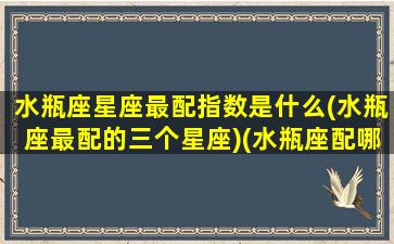 水瓶座星座最配指数是什么(水瓶座最配的三个星座)(水瓶座配哪个星座最好)