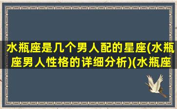 水瓶座是几个男人配的星座(水瓶座男人性格的详细分析)(水瓶座的男生和什么女生最配)