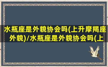 水瓶座是外貌协会吗(上升摩羯座外貌)/水瓶座是外貌协会吗(上升摩羯座外貌)-我的网站