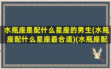 水瓶座是配什么星座的男生(水瓶座配什么星座最合适)(水瓶座配什么星座的男朋友)