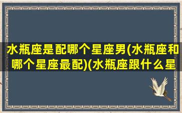 水瓶座是配哪个星座男(水瓶座和哪个星座最配)(水瓶座跟什么星座男最配)