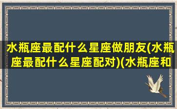 水瓶座最配什么星座做朋友(水瓶座最配什么星座配对)(水瓶座和什么星座最配做朋友)